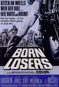 The Born Losers poster