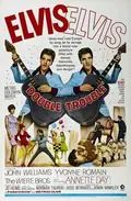 Double Trouble poster