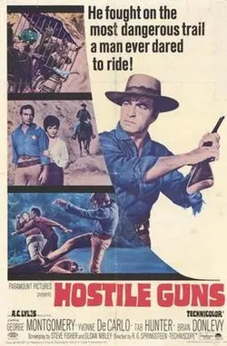 Hostile Guns poster