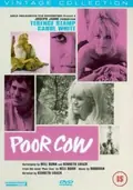 Poor Cow poster
