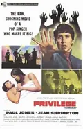 Privilege poster