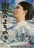 Affair in the Snow poster