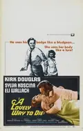 A Lovely Way to Die poster