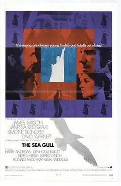 The Sea Gull poster