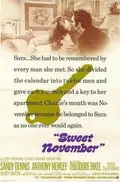 Sweet November poster