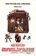 100 Rifles poster