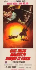 Gatling Gun poster