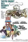 Don't Drink the Water poster