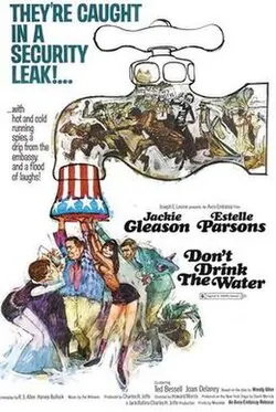Don't Drink the Water poster