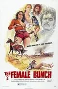 The Female Bunch poster