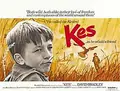 Kes poster