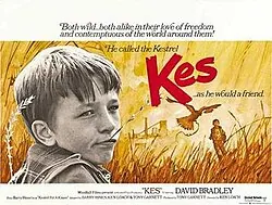 Kes poster