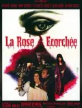 The Blood Rose poster