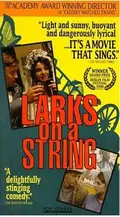Larks on a String poster