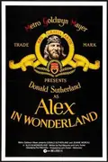 Alex in Wonderland poster