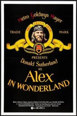 Alex in Wonderland poster