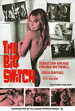 The Big Switch poster