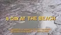 A Day at the Beach poster