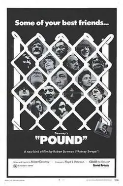 Pound poster