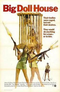 The Big Doll House poster
