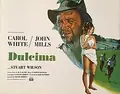 Dulcima poster