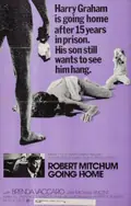 Going Home poster