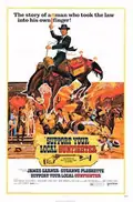 Support Your Local Gunfighter poster