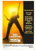 Valdez Is Coming poster