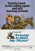Trinity Is Still My Name poster