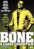 Bone poster