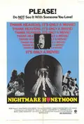 Nightmare Honeymoon poster