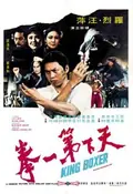 Five Fingers of Death poster