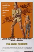 The Train Robbers poster