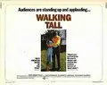 Walking Tall poster