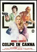 Loaded Guns poster