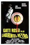 Eyeball poster