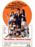 Hot Summer in Barefoot County poster
