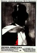 The Promised Land poster