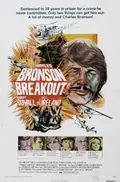 Breakout poster