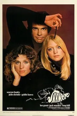Shampoo poster