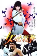 Sister Street Fighter poster