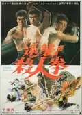 The Street Fighter's Last Revenge poster