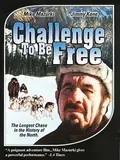 Challenge to be Free poster