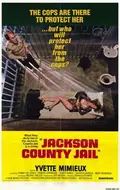 Jackson County Jail poster