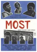 The Bridge poster