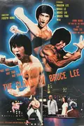 The Clones of Bruce Lee poster