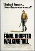 Final Chapter: Walking Tall poster