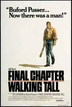 Final Chapter: Walking Tall poster
