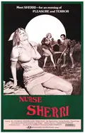 Nurse Sherri poster