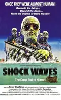 Shock Waves poster